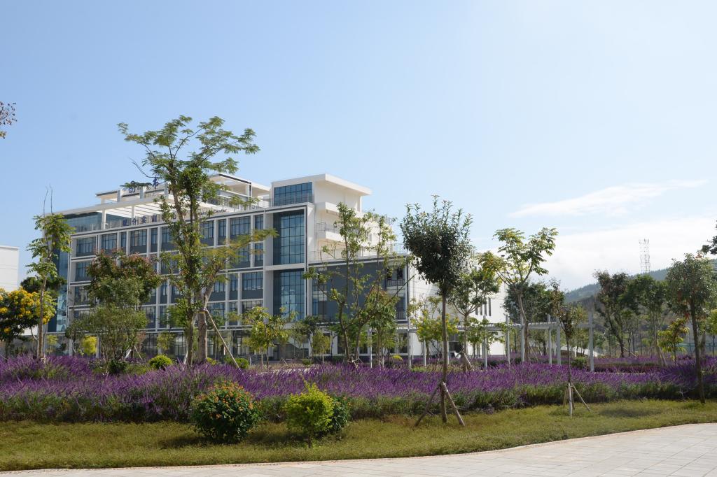 红河卫生职业学院学院景观