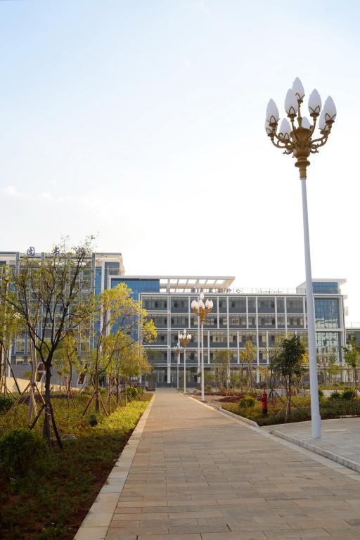 红河卫生职业学院&mdash;&mdash;校园小道